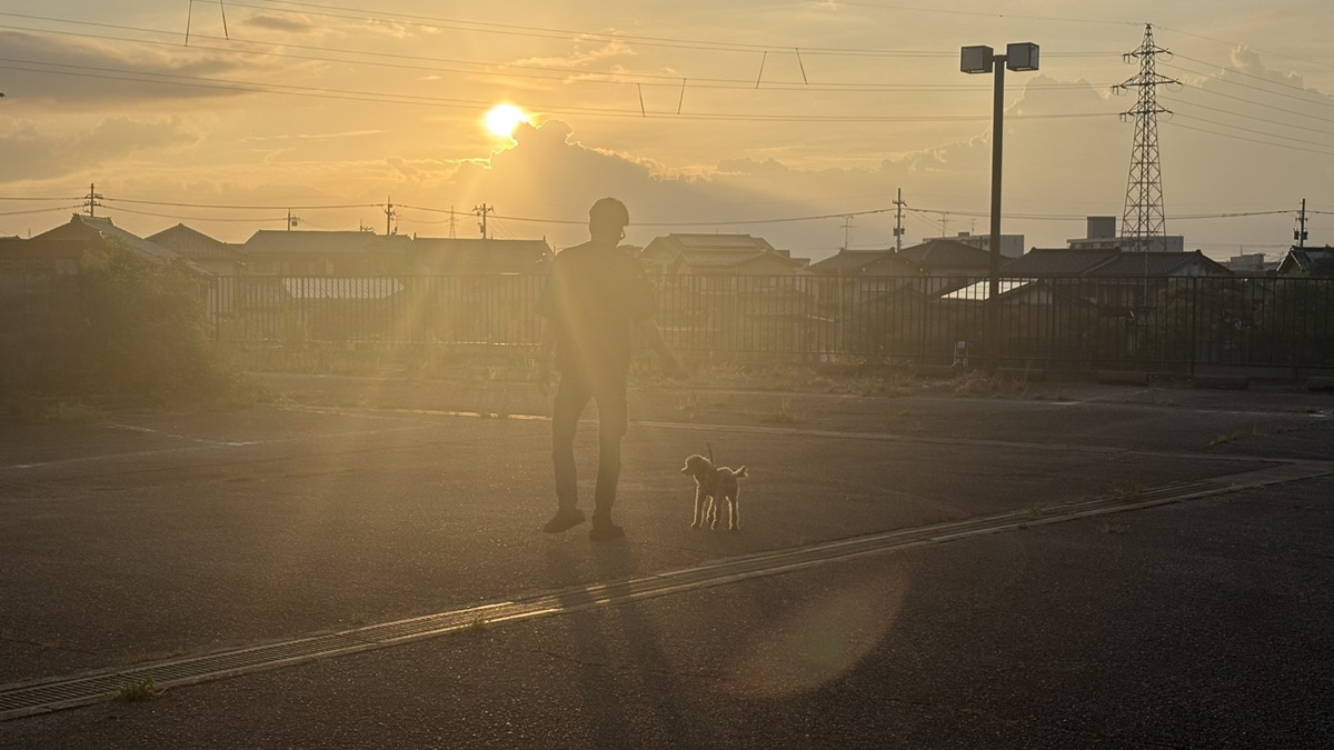 【スタッフブログ】我が家の愛犬