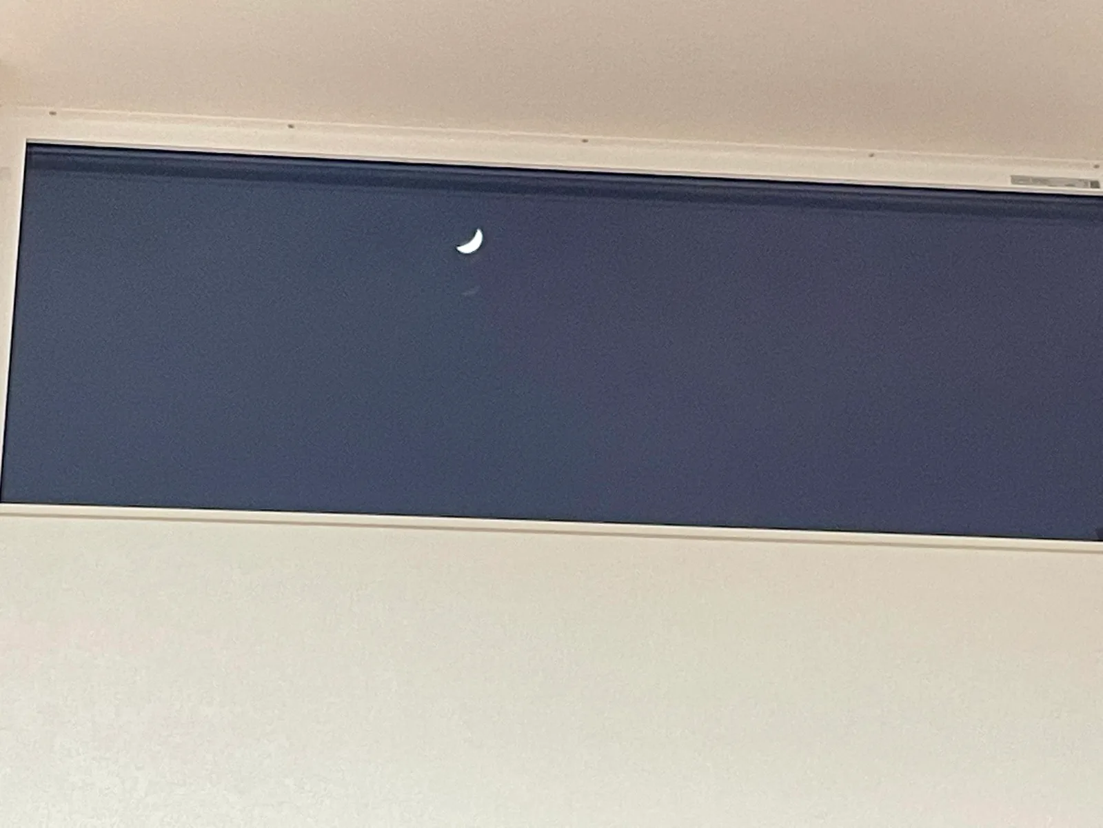 記事画像
